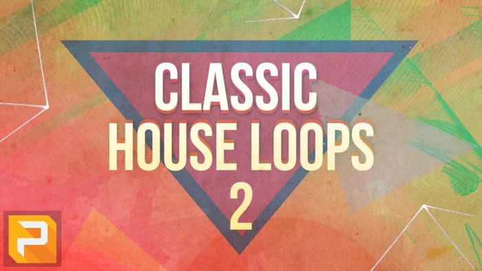 Pakotek Classic House Loops Vol 2