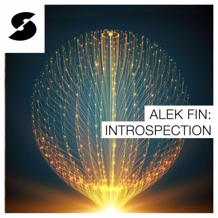 Samplephonics Alek Fin Introspection