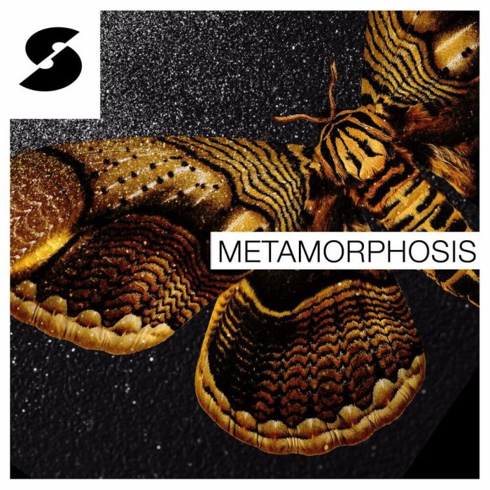 Samplephonics Metamorphosis