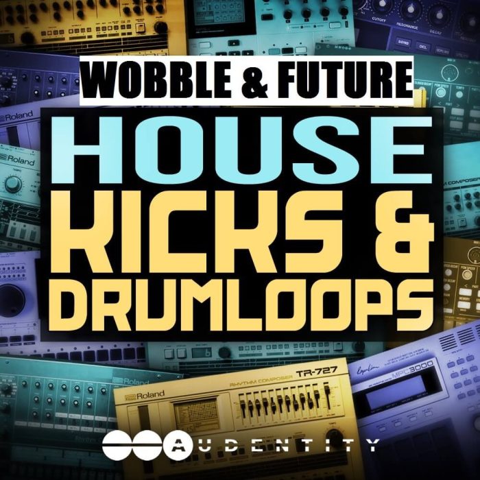 Audentity Wobble & Future House Kicks & Drum Loops