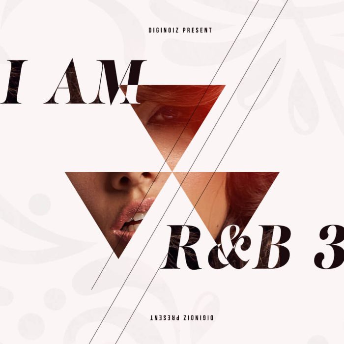 Diginoiz I Am RnB 3