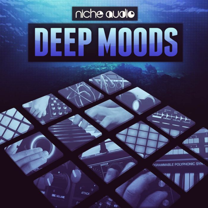 Niche Audio Deep Moods