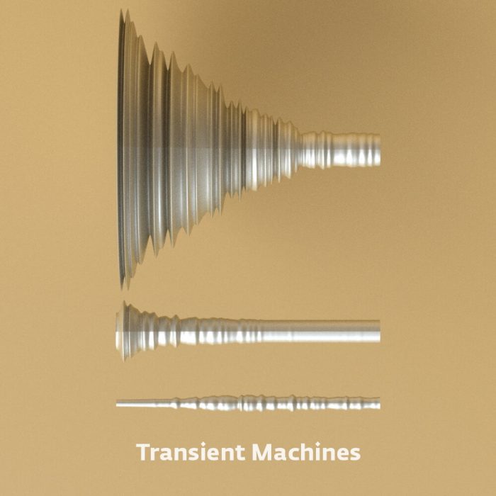 Surreal Machines Transient Machines