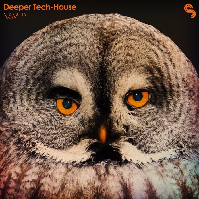 Sample Magic Deeper Tech House