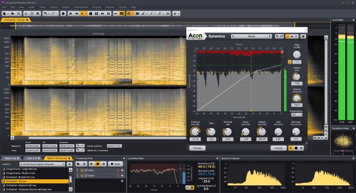 Acon Digital Acoustica 7