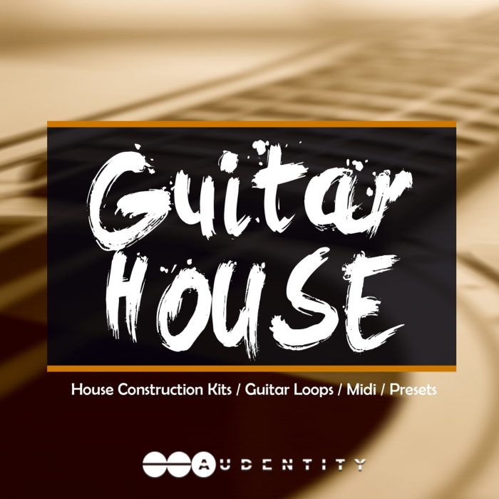 Audentity Records Guitar House