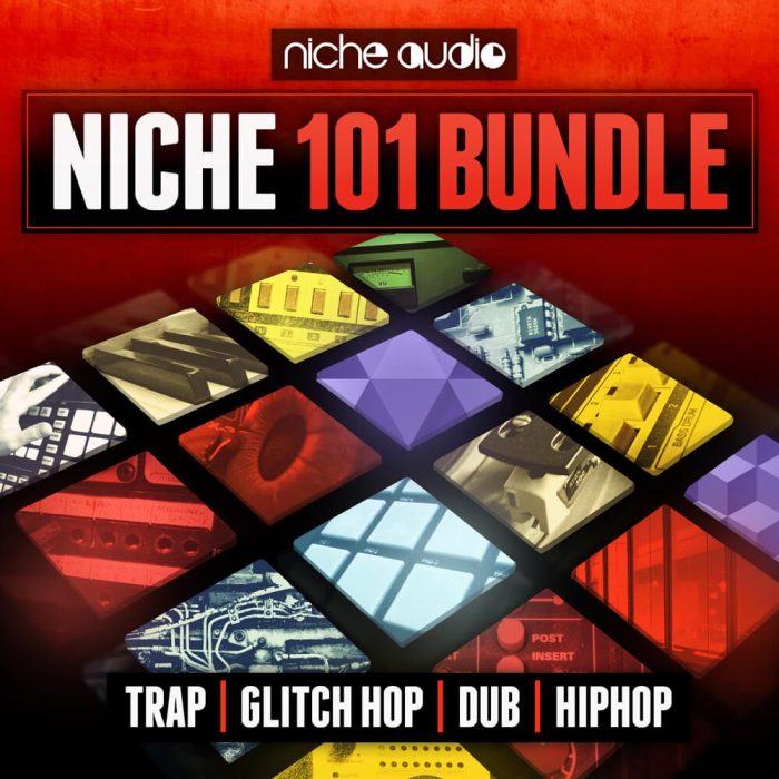 Niche 101 Bundle