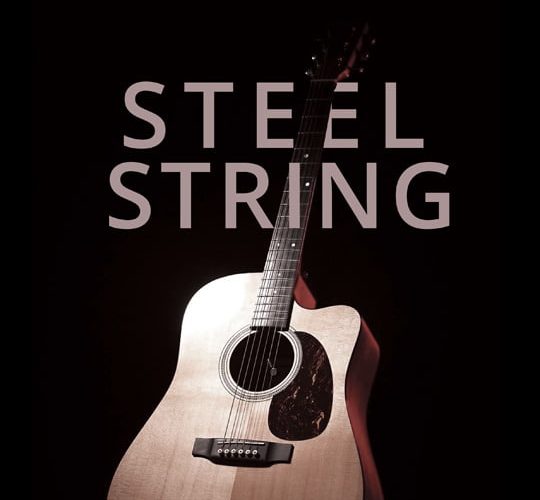 8Dio Advanced Guitar Series Steel String