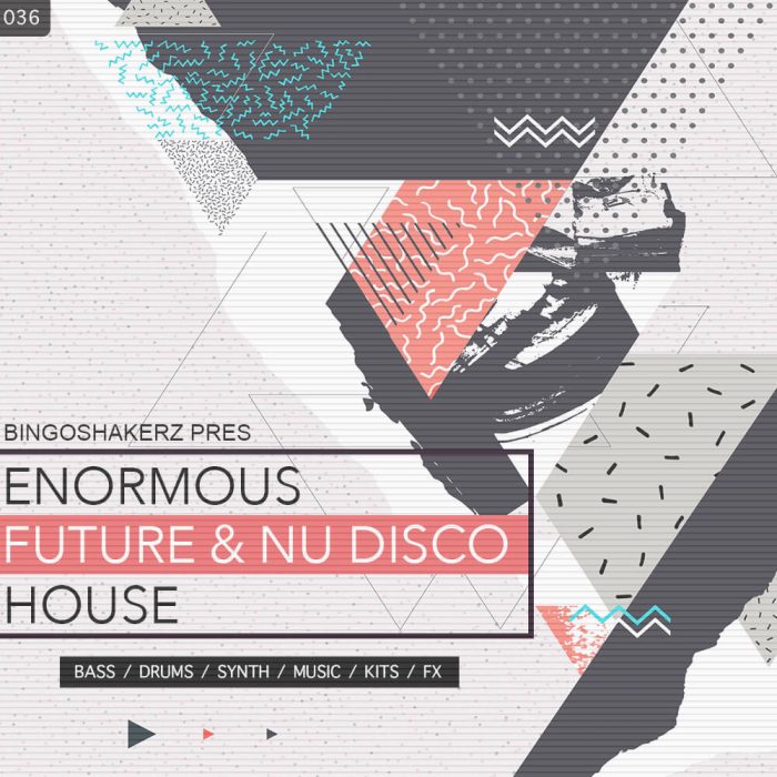 Bingoshakerz Enormous Future & Nu Disco House