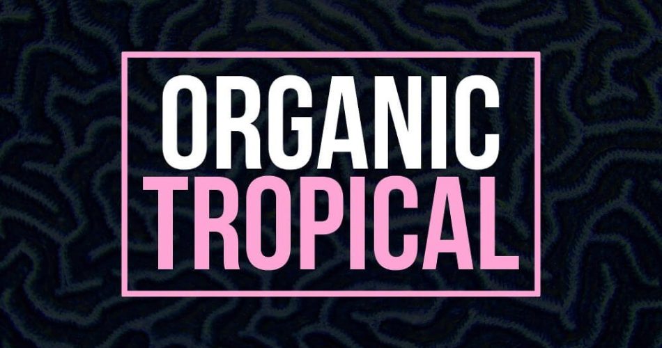 Black Octopus Organic Tropical