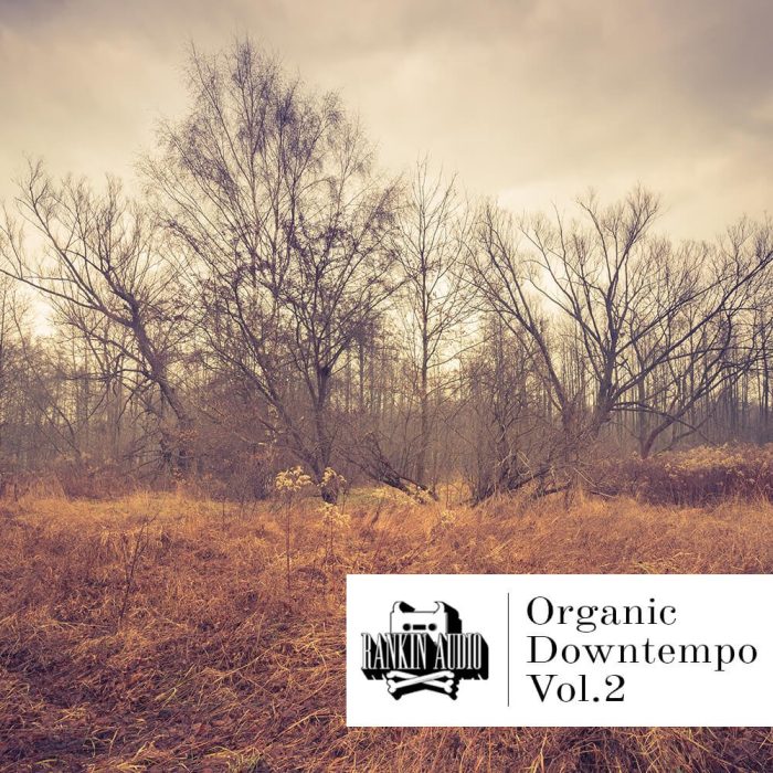 Rankin Audio Organic Downtempo Vol 2