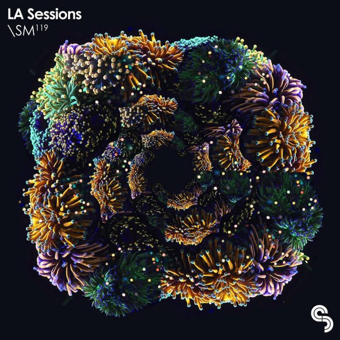 Sample Magic LA Sessions