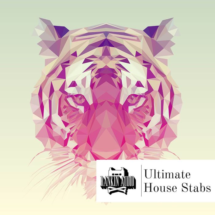 Rankin Audio Ultimate House Stabs