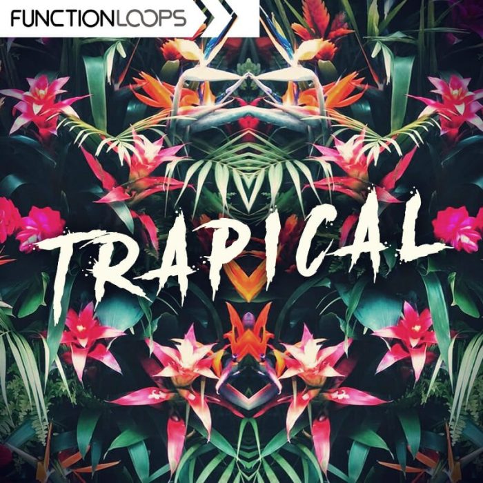Function Loops Trapical