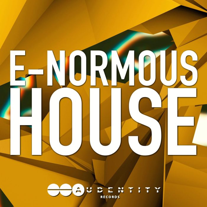 Audentity Records E-Normous House