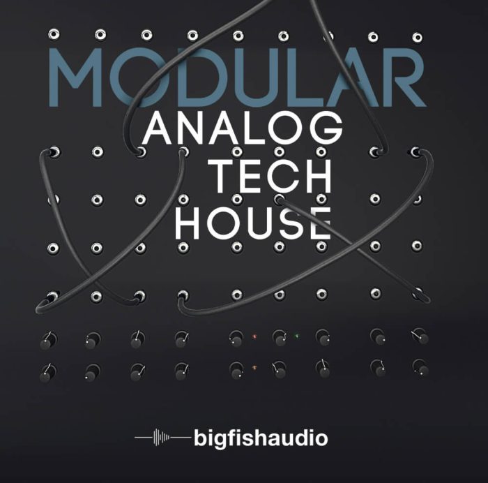 Big Fish Audio Modular Analog Tech House