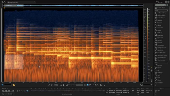 iZotope RX 6 pedal noise removal