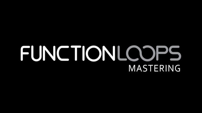 Function Loops Mastering