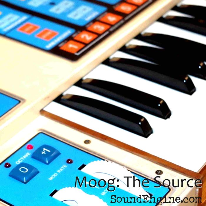 SoundEngine Moog The Source