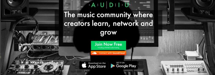 Audiu landing page