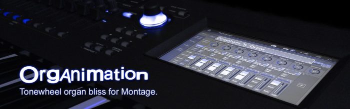 K-Sounds Organimation for Montage