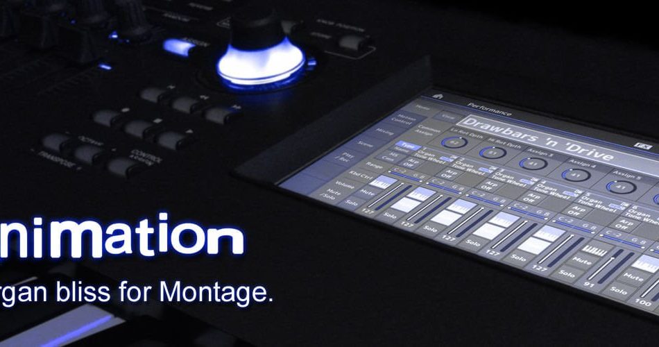 K-Sounds Organimation for Montage