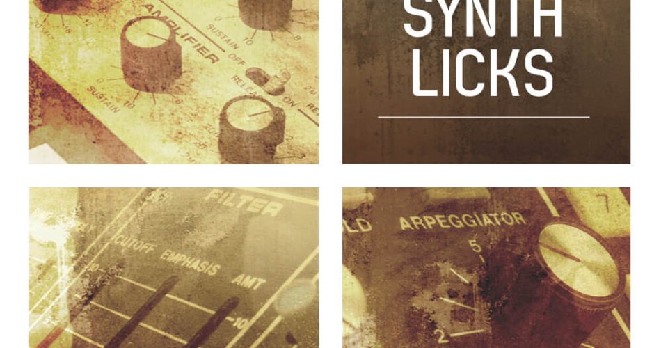 RV Samplepacks Vintage Synth Licks