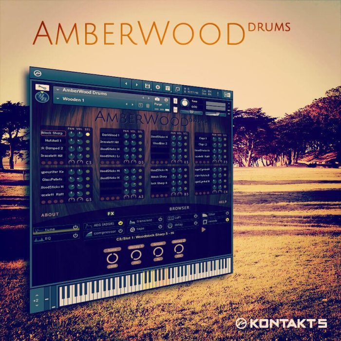 YummyBeats AmberWood Drums