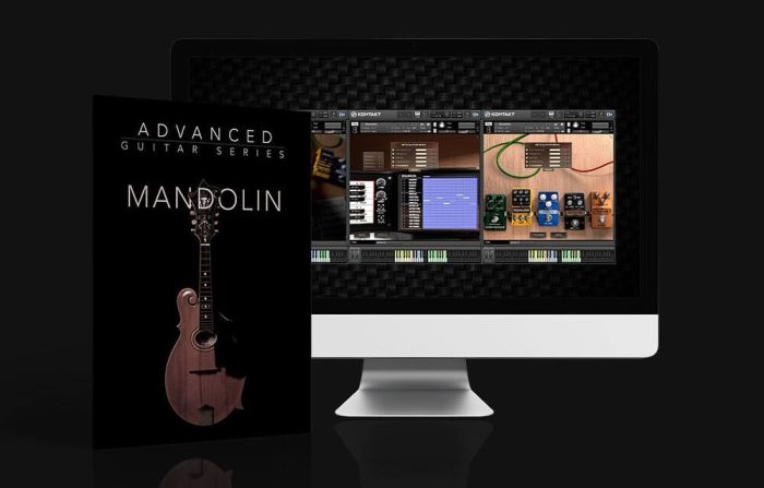8Dio Productions Advanced Guitar Series Mandolin screen