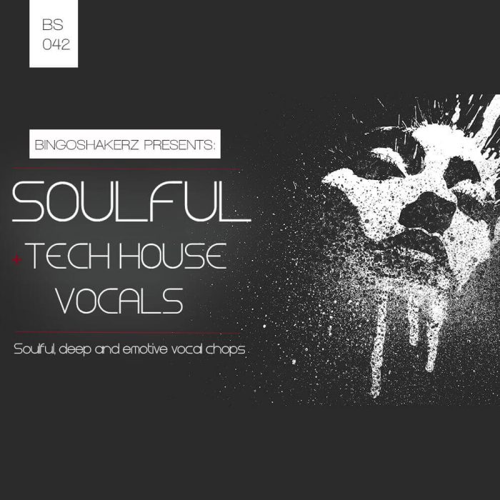 Bingoshakerz Soulful & Tech House Vocals