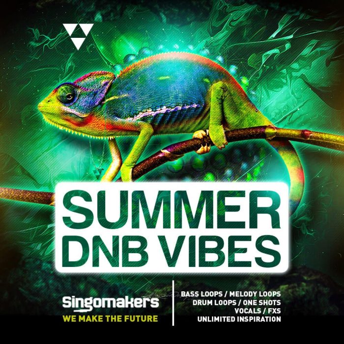 Singomakers Summer DnB Vibes