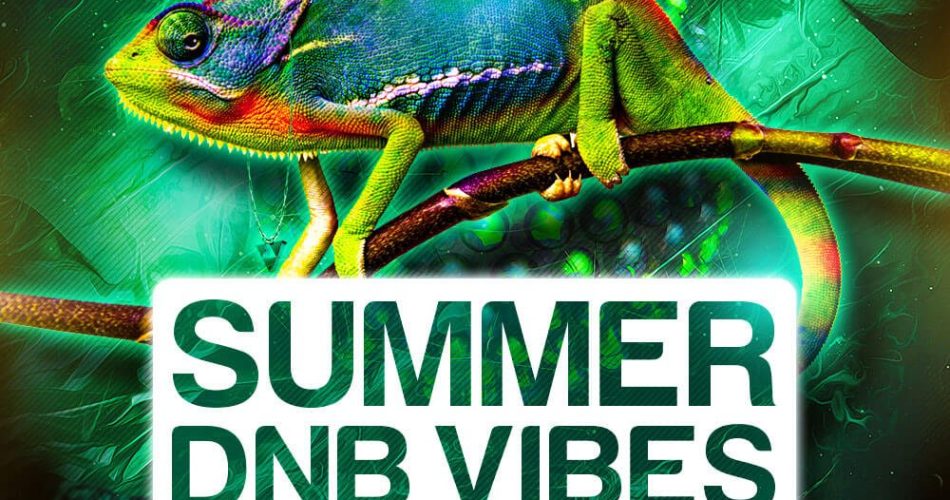 Singomakers Summer DnB Vibes