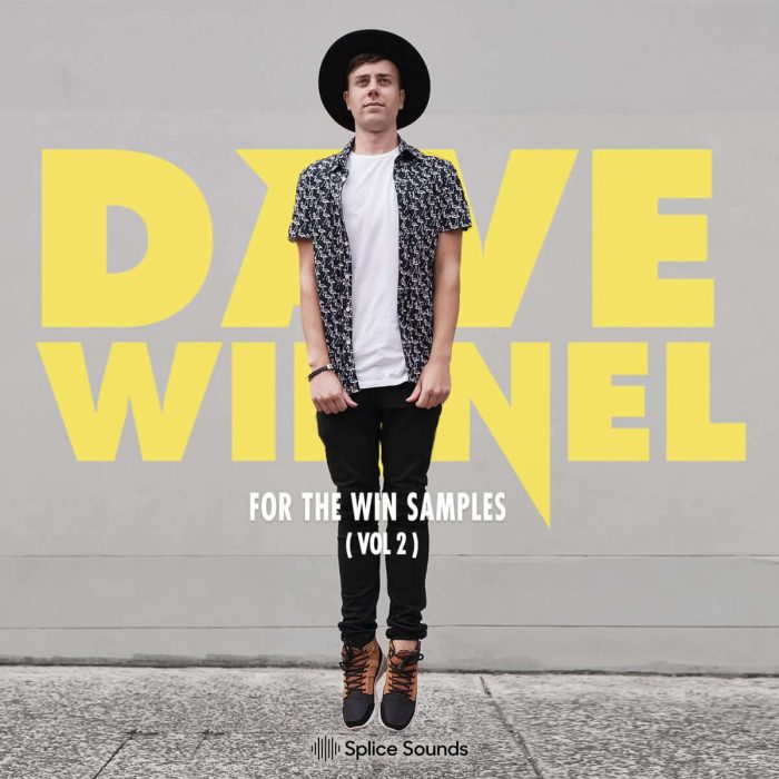 Splice Sounds Dave Winnel For The Win Vol. 2