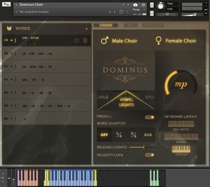 FluffyAudio Dominus Choir