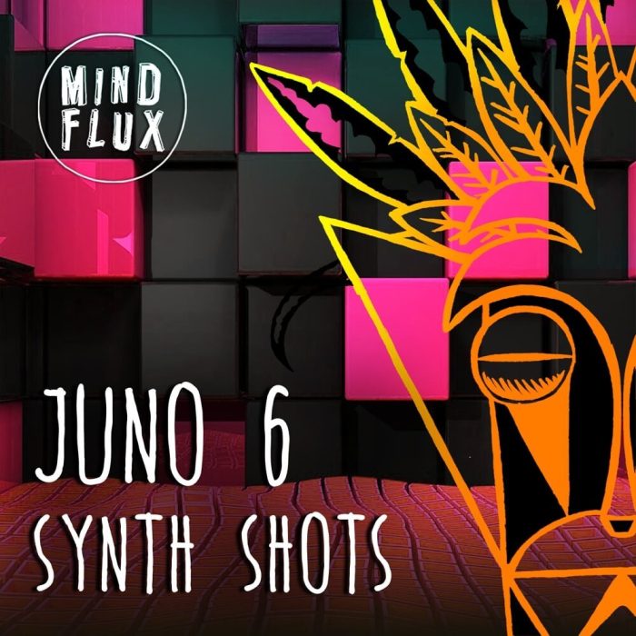 Mind Flux Juno 6 Synth Shots