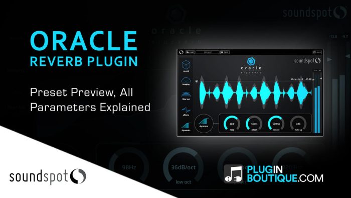 SoundSpot Oracle show & reveal