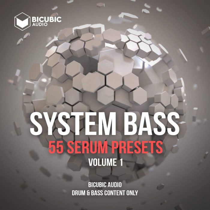 Bicubic Audio System Bass 1