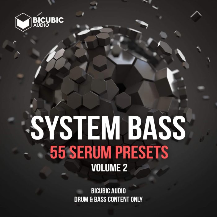 Bicubic Audio System Bass 2