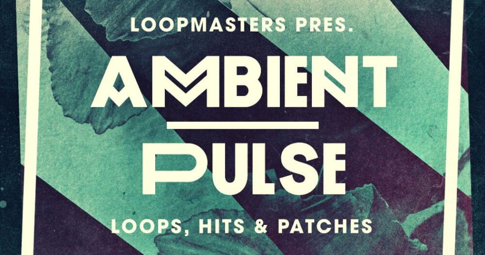 Loopmasters Ambient Pulse