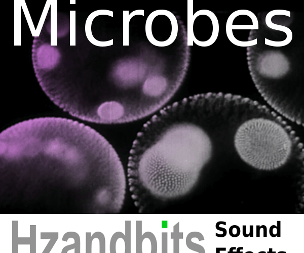 Hzandbits Microbes