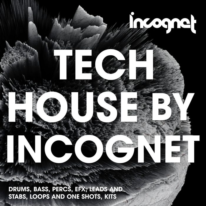 Incognet Tech House by Incognet