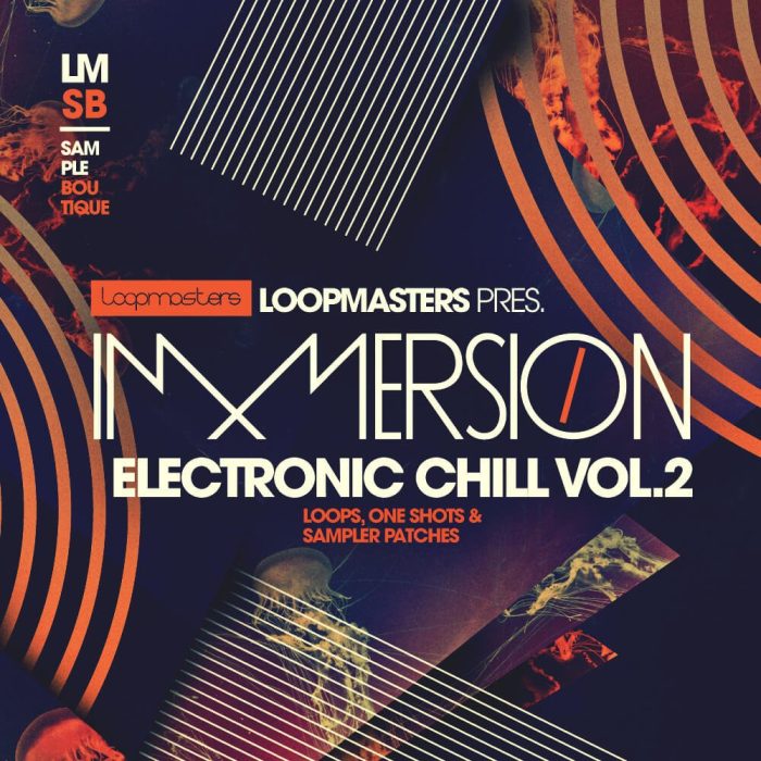 Loopmasters Immersion Electronic Chill 2