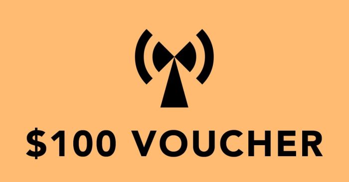 Noiiz 100 USD voucher