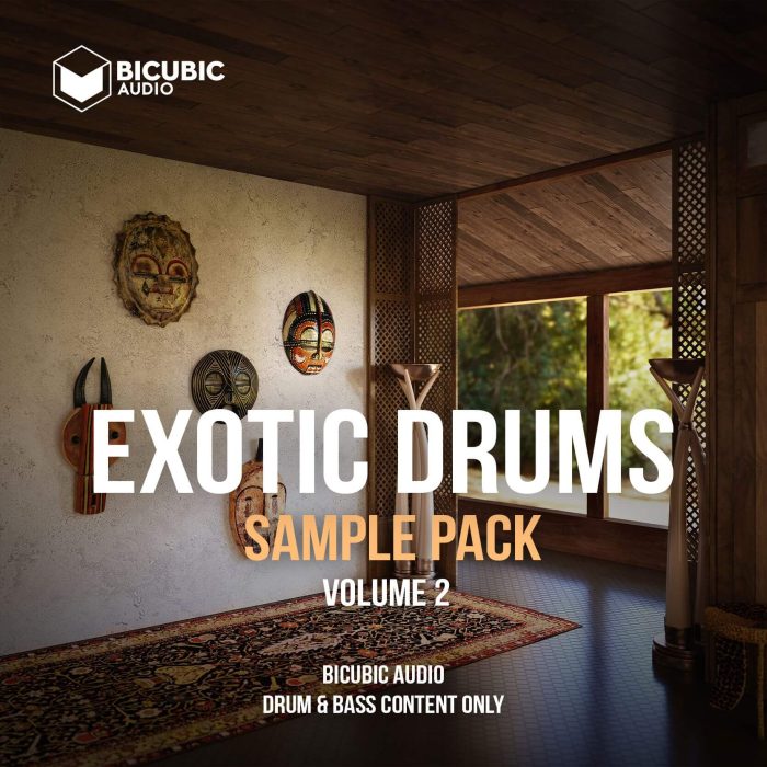 Bicubic Audio Exotic Drums 2