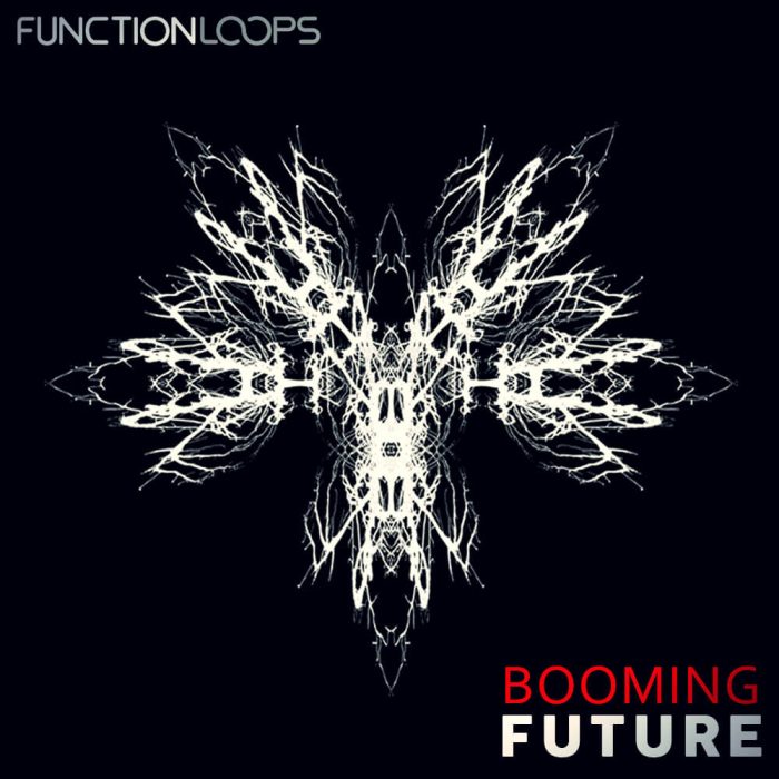Function Loops   Booming Future