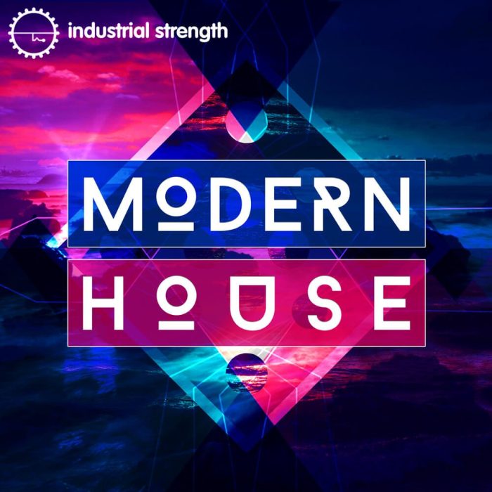 Industrial Strength Samples Modern House