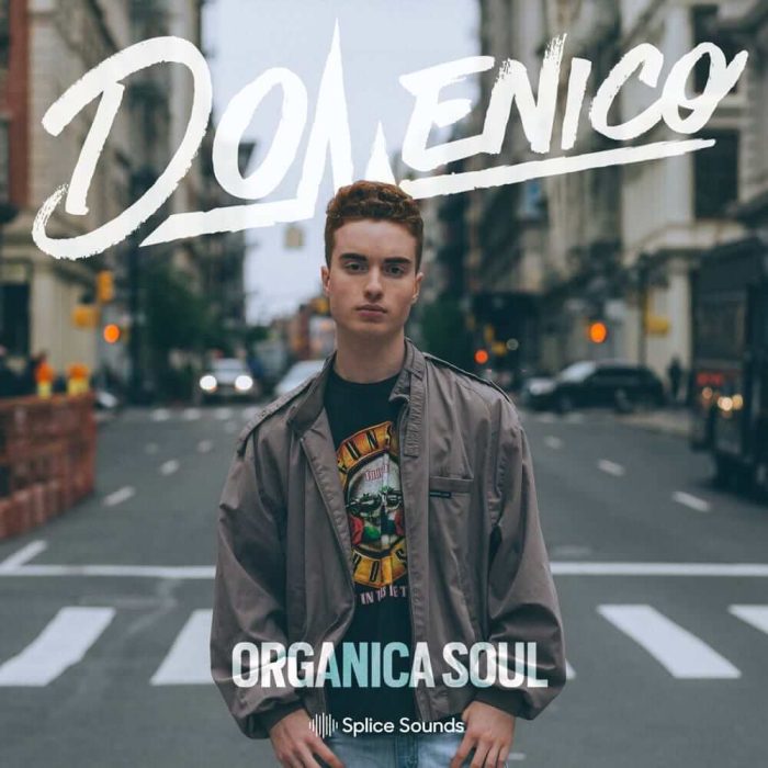 Splice Sounds Domenico Organica Soul