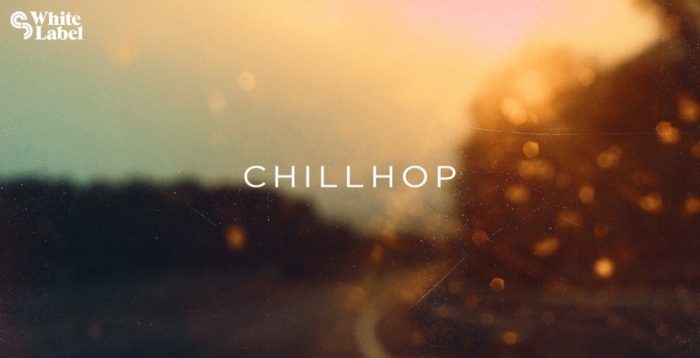 Sample Magic Chillhop