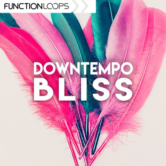 Function Loops Downtempo Bliss