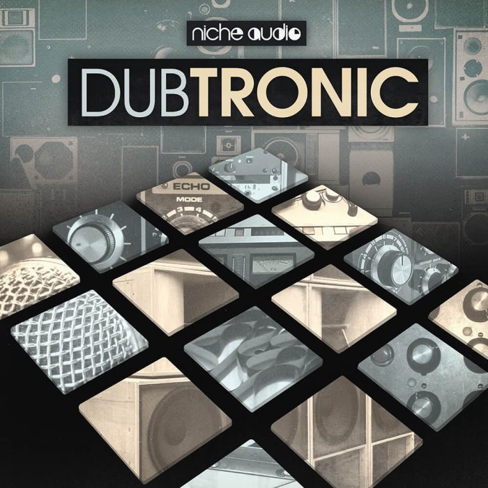 Niche Audio Dubtronic